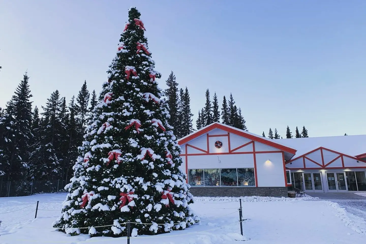 Starlink Installation in North Pole, AK for Residential Use