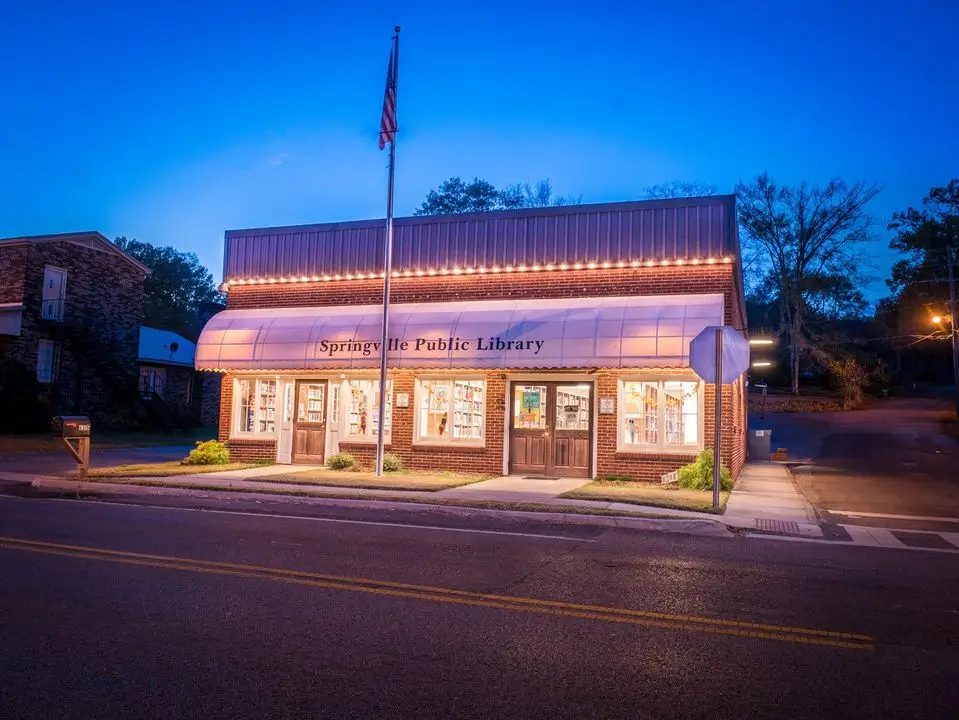 Revolutionizing Connectivity: The Impact of Starlink in Springville, AL