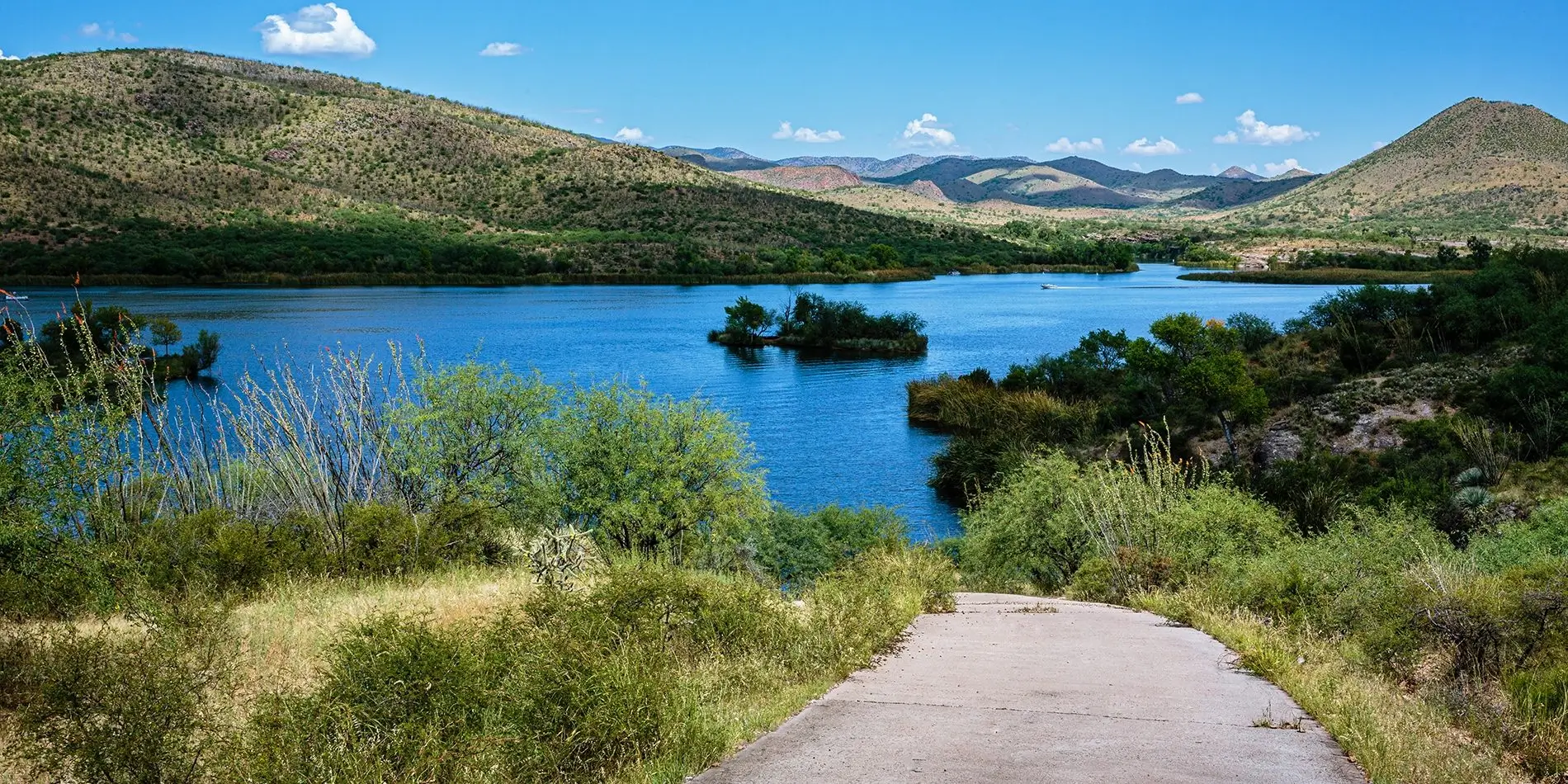 Why Starlink is the Best Internet Provider for Residential Use in Patagonia, AZ