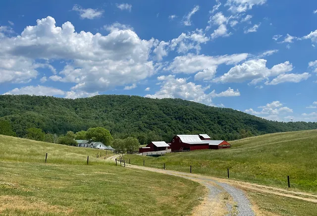 Starlink Installation in Graves Mill, VA